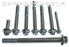 Flange bolts